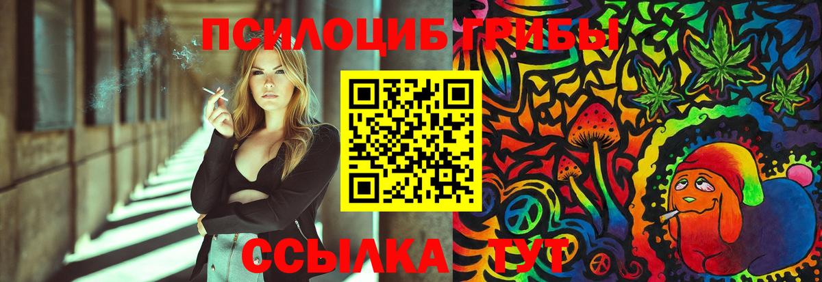 где продают наркотики  Грязи  Галлюциногенные грибы ЛСД 